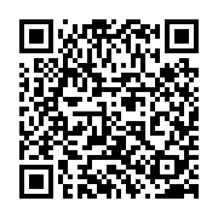QR code for 603209