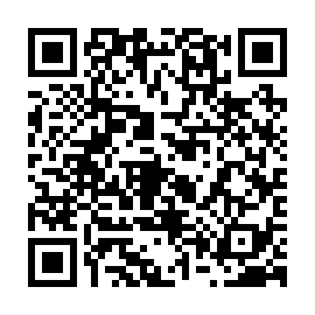 QR code for 6032393