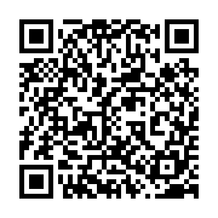 QR code for 603255
