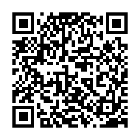 QR code for 603333