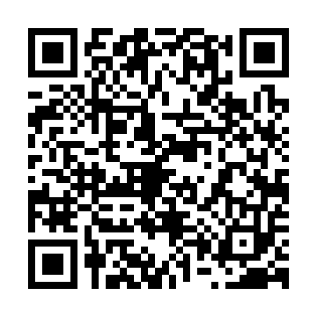 QR code for 6043538
