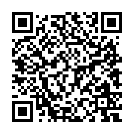 QR code for 60463