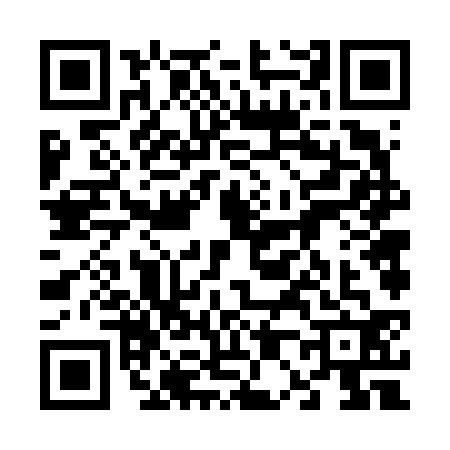 QR code for 6066323