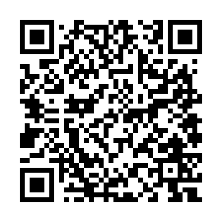 QR code for 60667