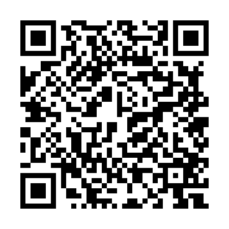 QR code for 6078063
