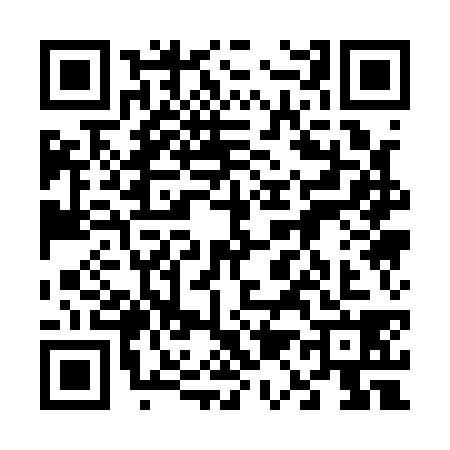 QR code for 6111383