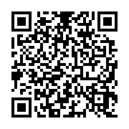 QR code for 6113325