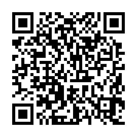 QR code for 611383