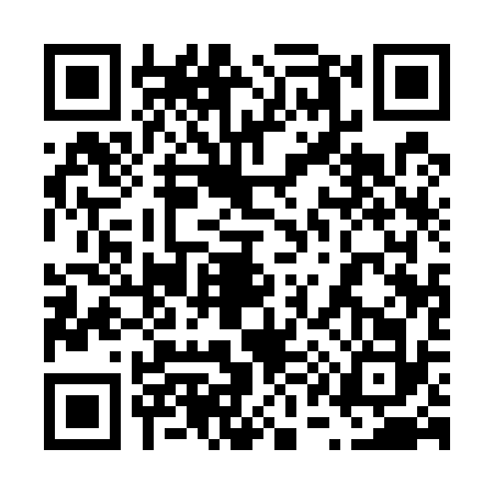 QR code for 6115328