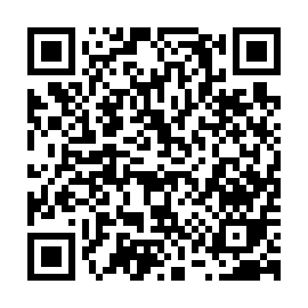 QR code for 61161