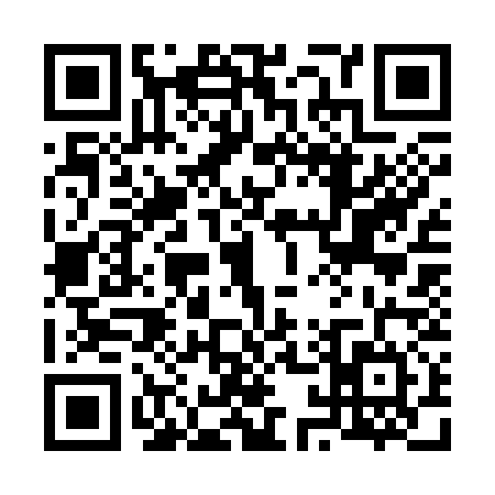 QR code for 6133346