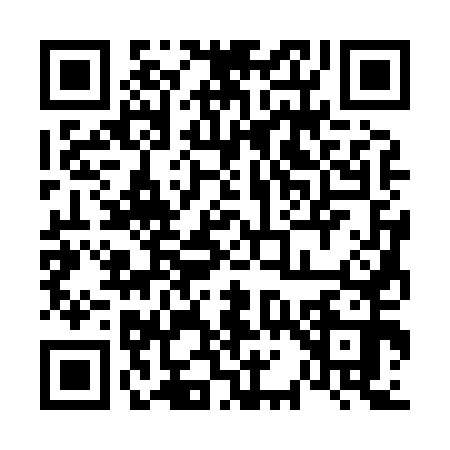 QR code for 6138501