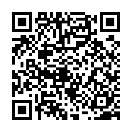 QR code for 6165252