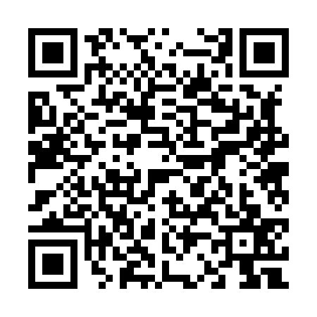 QR code for 6228374
