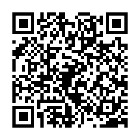 QR code for 6243311