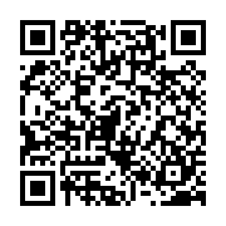 QR code for 6250041