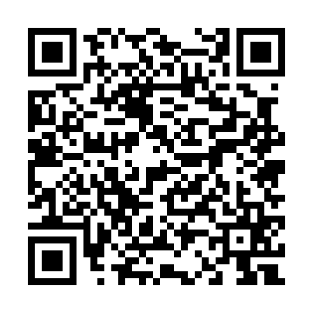 QR code for 6250650