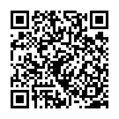 QR code for 6256654