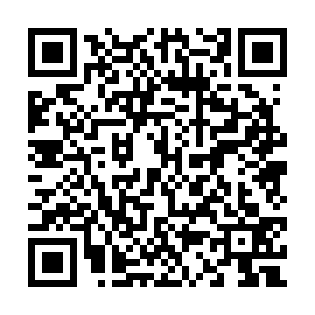 QR code for 6302338
