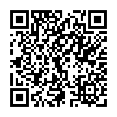 QR code for 6313262