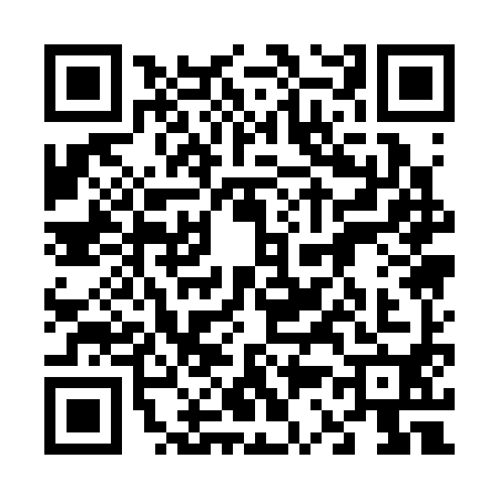 QR code for 6313907