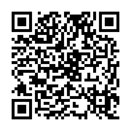 QR code for 63290