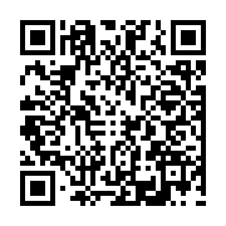 QR code for 6333234