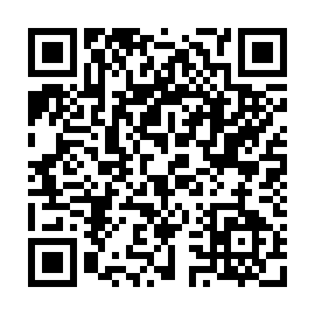 QR code for 63335