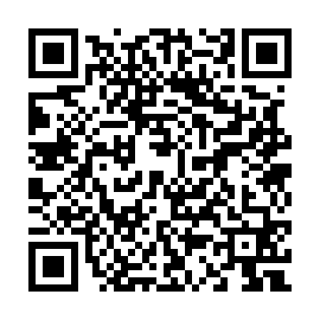 QR code for 6335604