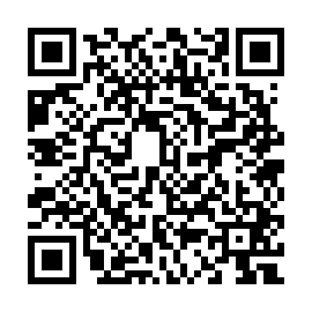 QR code for 6336419