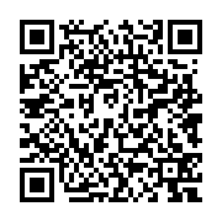 QR code for 6347334