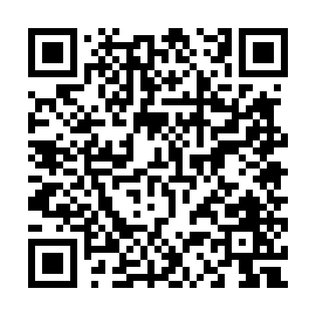 QR code for 63545