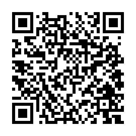QR code for 63636