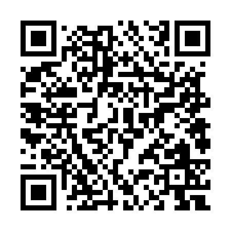 QR code for 63653