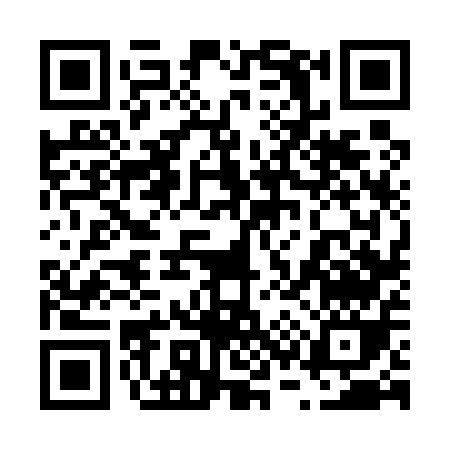 QR code for 63655