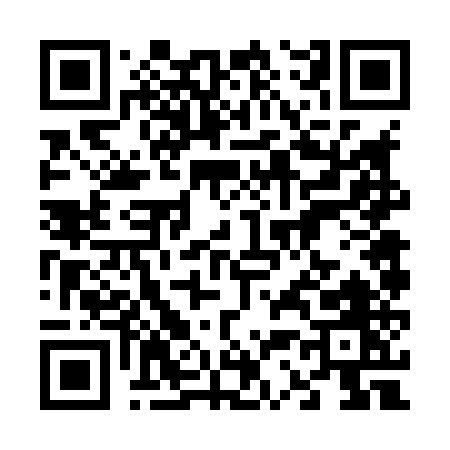 QR code for 63685
