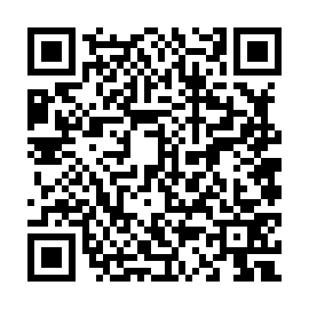 QR code for 6368732