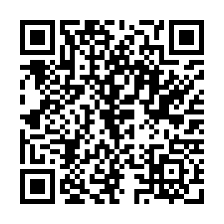QR code for 6369334