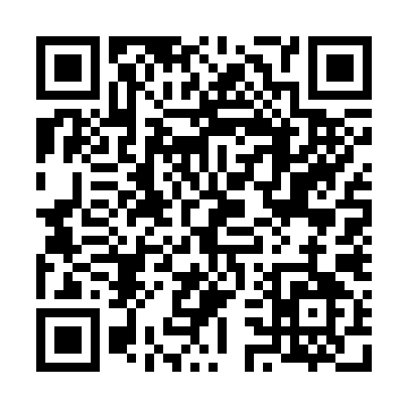 QR code for 63739