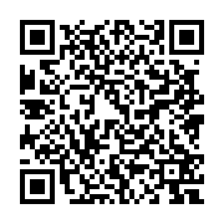 QR code for 6380239