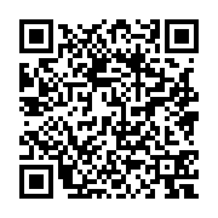 QR code for 6381300