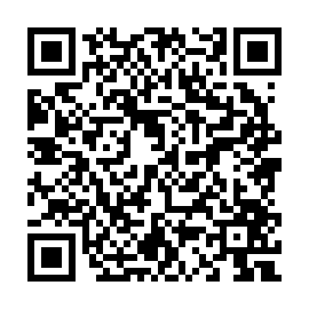 QR code for 6382473
