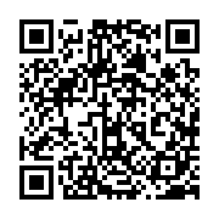 QR code for 638300