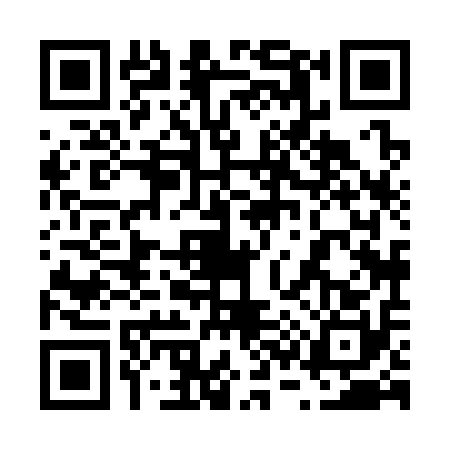 QR code for 6383102