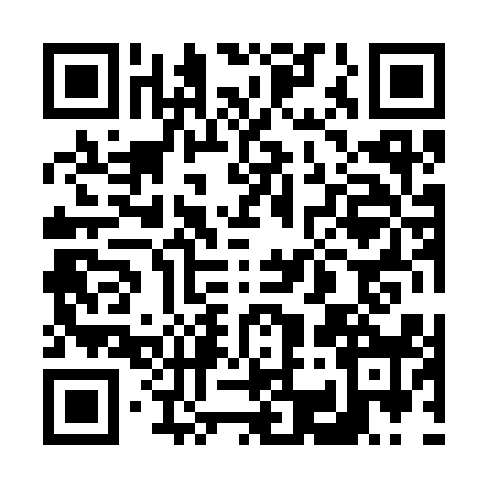 QR code for 6383184