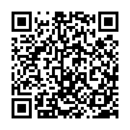 QR code for 638500