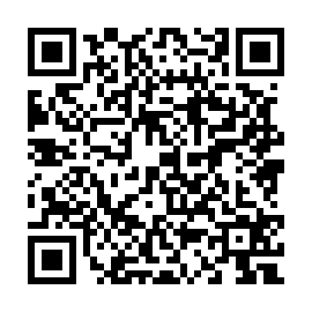 QR code for 6385246