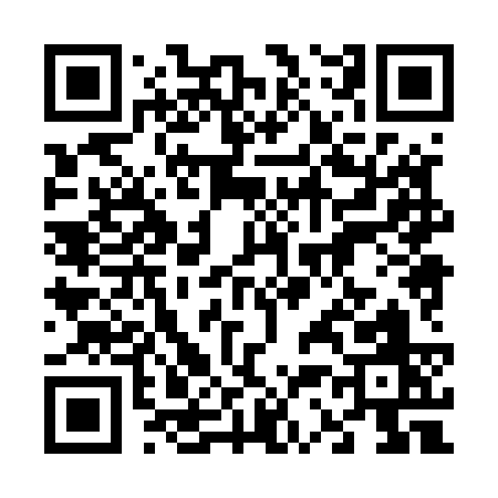 QR code for 63853