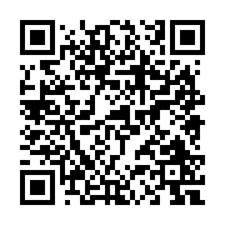 QR code for 63862