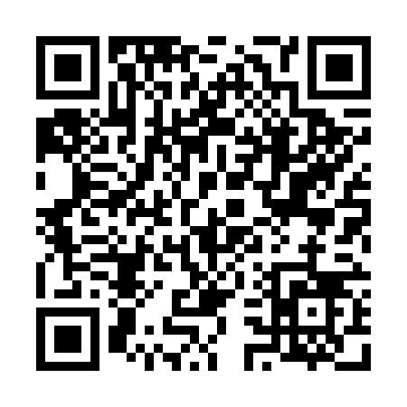 QR code for 63866